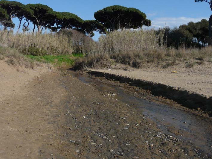 I fossi e lo stagno di Baratti (Piombino - LI)
